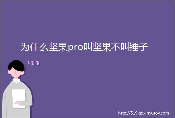 为什么坚果pro叫坚果不叫锤子