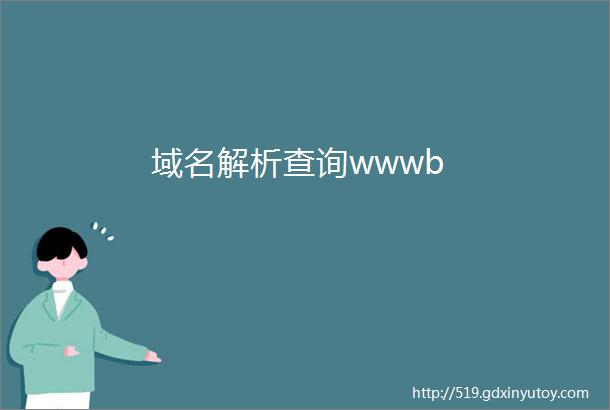 域名解析查询wwwb